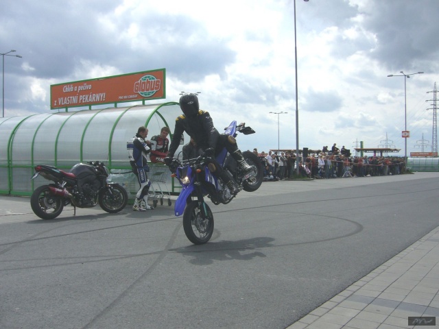 2009-045_1817.jpg