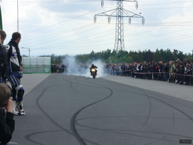 2009-062_1833.jpg